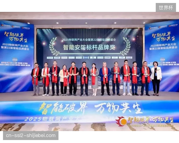 强制性安防管控与品牌权益保障如何在国际赛事中达成法理平衡